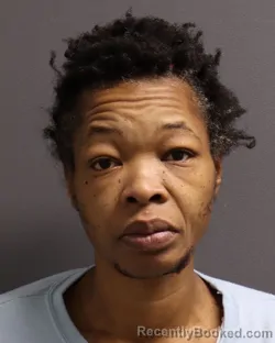 Mugshot of SHENIKA LASHA GRAY