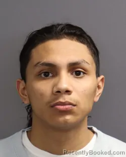 Mugshot of HENRY ALEJANDRO MARTINEZ CORTES