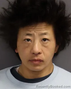 Mugshot of STORM NOU LISA YANG