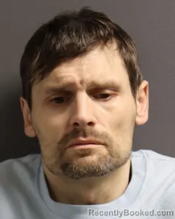 Mugshot of RHYS FREDRICK BRAUN