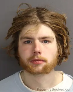 Mugshot of NOLAN RYAN MATHEWS