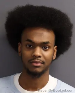 Booking photo from Dakota County, Minnesota