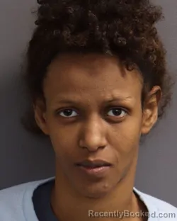 Mugshot of NIMO GAAL ALI