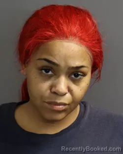 Mugshot of KANEESHA MONIQUE SIMS booked in Dakota County, Minnesota on March 6, 2026