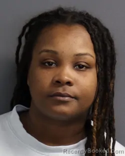 Mugshot of BRANDY MICHELLE BREWSTER booked in Dakota County, Minnesota on March 6, 2026