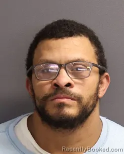 Mugshot of CARLOS LUIS PENA ORTIZ