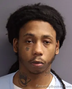 Mugshot of DANA LEE WILLIAMS