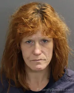 Mugshot of TARA BETH MEYERS