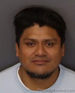 Mugshot of HALAN ANGEL MORALES