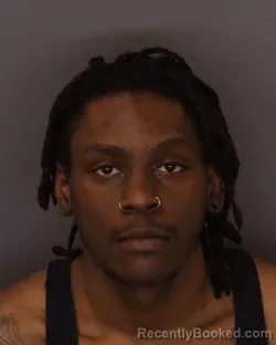 Mugshot of ARMONI MICHAEL DILWORTH