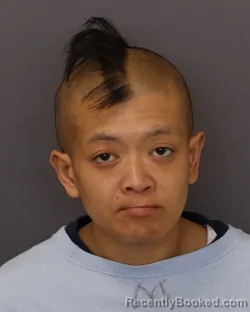 Mugshot of KOIANNA JEAN KELLEY booked in Dakota County, Minnesota on March 16, 2026