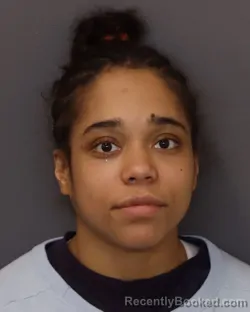 Mugshot of OLIVIA BRIANN MCCLAIN booked in Dakota County, Minnesota on March 17, 2026