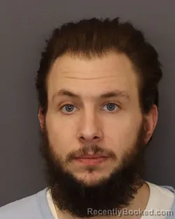 Mugshot of BRADLY JAMES PAULSON booked in Dakota County, Minnesota on March 17, 2026