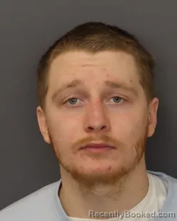 Mugshot of THOMAS CHARLES PETERSON booked in Dakota County, Minnesota on March 17, 2026