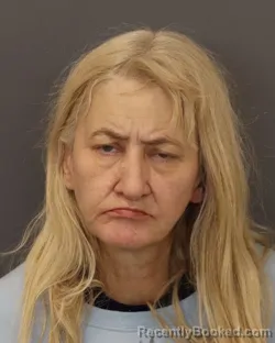 Mugshot of KRISTY LYNN BERGQUIST booked in Dakota County, Minnesota on March 17, 2026