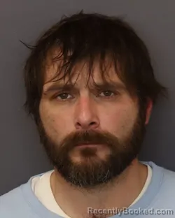 Mugshot of DAMIEN LEE OLSON booked in Dakota County, Minnesota on March 18, 2026