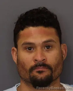 Mugshot of ANTONIO JAMES LAGERSTROM booked in Dakota County, Minnesota on March 18, 2026