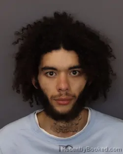 Mugshot of AVION LEE HAMER booked in Dakota County, Minnesota on March 18, 2026