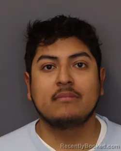 Mugshot of JESSE ALBERT HONORATO booked in Dakota County, Minnesota on March 18, 2026