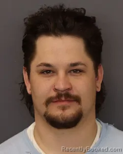 Mugshot of DOMINICK CHRISTIAN MOE booked in Dakota County, Minnesota on March 18, 2026