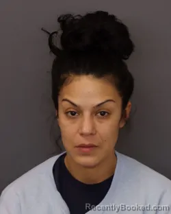 Mugshot of ANNAMARIE SAVARIEGO booked in Dakota County, Minnesota on March 20, 2026