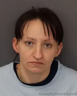 Mugshot of NICOLE JEANINE HIGGINS booked in Dakota County, Minnesota on March 20, 2026