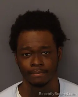 Mugshot of TERRENCE ROBERT ADAMS booked in Dakota County, Minnesota on March 20, 2026