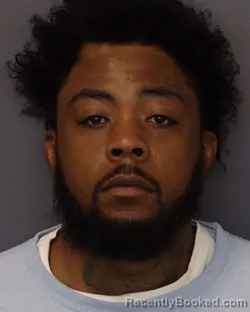 Mugshot of STEWART RASHAD ROLLE booked in Dakota County, Minnesota on March 20, 2026