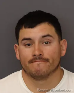 Mugshot of YONIS MIRCIADES DIAZ HERNANDEZ booked in Dakota County, Minnesota on March 21, 2026