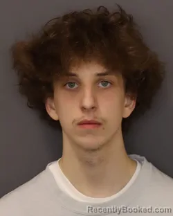 Mugshot of HENRY NATHANIEL DAVIDSON booked in Dakota County, Minnesota on March 21, 2026