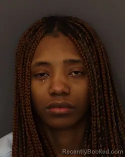 Mugshot of ANIYAH JOYCE CARTER-JOSEY booked in Dakota County, Minnesota on March 22, 2026