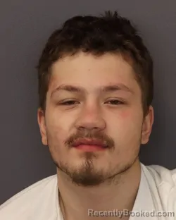 Mugshot of DILLON DAVID LUND booked in Dakota County, Minnesota on March 22, 2026