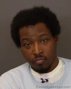 Mugshot of AVERY AMORE BROWN booked in Dakota County, Minnesota on March 22, 2026