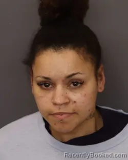 Mugshot of LEEANN WANDA JONES booked in Dakota County, Minnesota on March 22, 2026