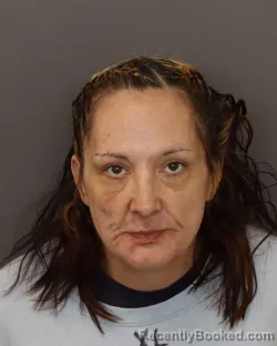 Mugshot of TERYSA ANN DIRCKS booked in Dakota County, Minnesota on March 23, 2026