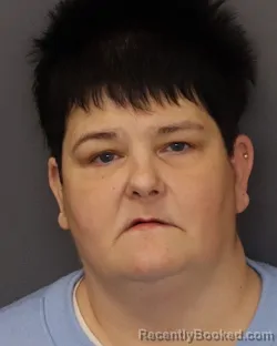 Mugshot of DAWN MARIE ANDERSON booked in Dakota County, Minnesota on March 23, 2026