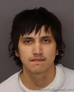 Mugshot of KODA JAMES CORBINE booked in Dakota County, Minnesota on March 23, 2026