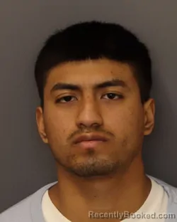 Mugshot of ALLICSON ISAAC MALA ORTIZ booked in Dakota County, Minnesota on March 23, 2026