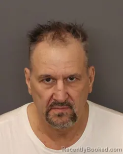 Mugshot of TIMOTHY STEVEN LEE booked in Dakota County, Minnesota on March 24, 2026