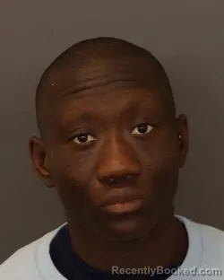 Mugshot of SARAH KORTO PYNE booked in Dakota County, Minnesota on March 24, 2026