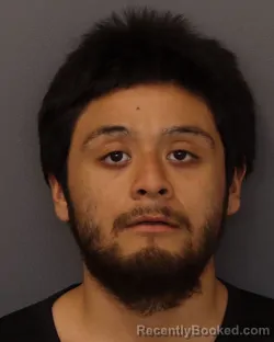 Mugshot of PAUL ANTHONY PADILLA CIRIACO booked in Dakota County, Minnesota on March 24, 2026