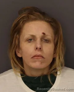 Mugshot of SARAH BURNS ARNESEN booked in Dakota County, Minnesota on March 24, 2026