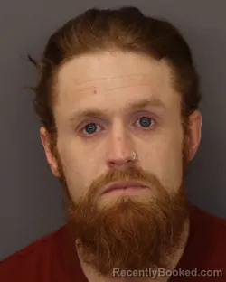 Mugshot of SHAWN TREVOR REED KILLINGBECK booked in Dakota County, Minnesota on March 25, 2026