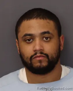 Mugshot of AAMMIR RASHAAD FREESE booked in Dakota County, Minnesota on March 25, 2026