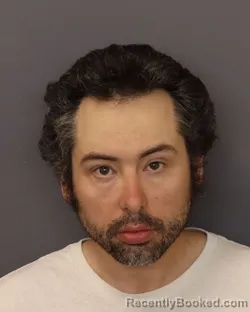 Mugshot of RICHARD MICHAEL WAGNER booked in Dakota County, Minnesota on March 25, 2026