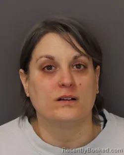 Mugshot of BRANDY LEE DONALDSON booked in Dakota County, Minnesota on March 25, 2026