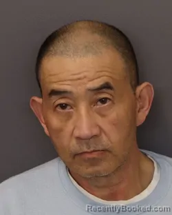 Mugshot of NICK DO booked in Dakota County, Minnesota on March 25, 2026