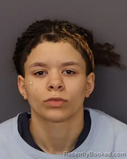 Mugshot of MARIELLA ZACARIE TRAXLER booked in Dakota County, Minnesota on March 26, 2026