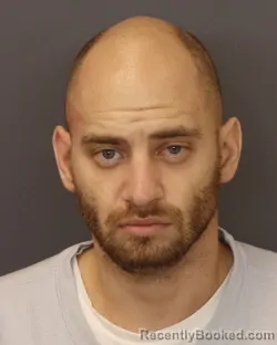 Mugshot of STEVEN ARTHUR SOGN booked in Dakota County, Minnesota on March 26, 2026