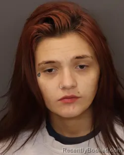 Mugshot of SHEALA LEANNE EYRE booked in Dakota County, Minnesota on March 26, 2026